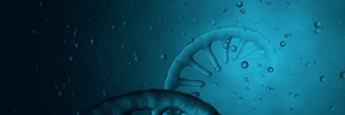 antisense oligonucleotide (ASO) drug development
