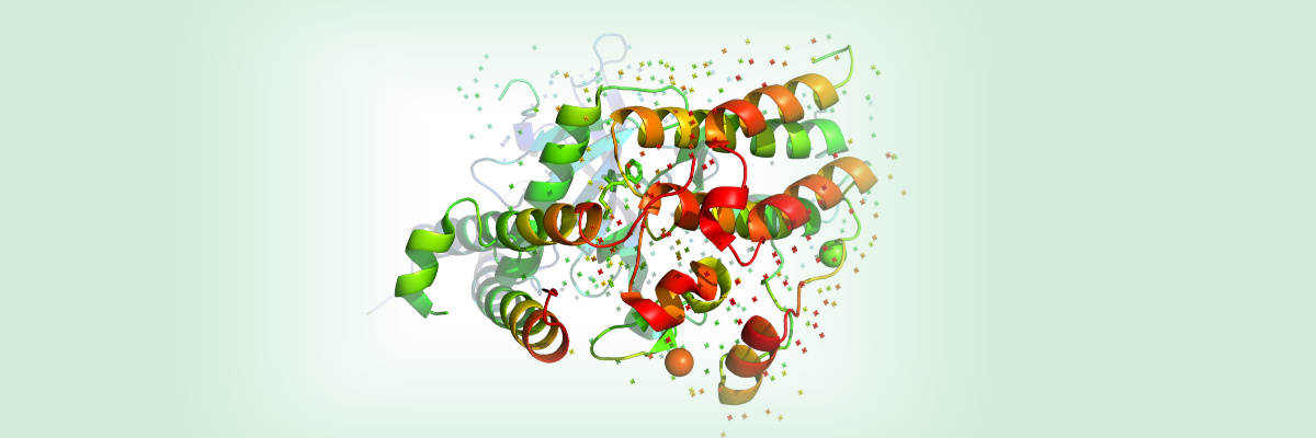 Preliminary Guide to Custom Peptide Production