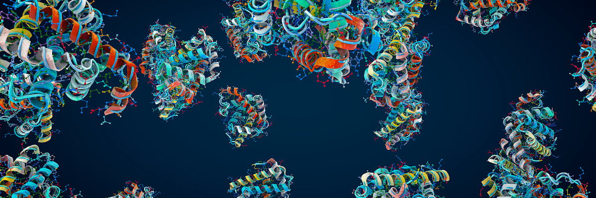 Protein Production Protein Production