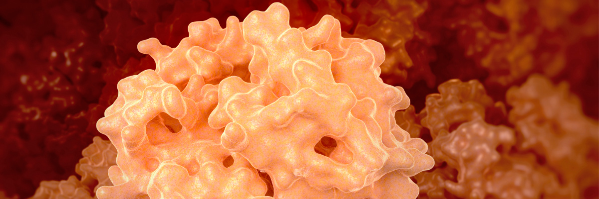 Peptide Purity and Analytical QC: Why High-Quality Peptides Matter