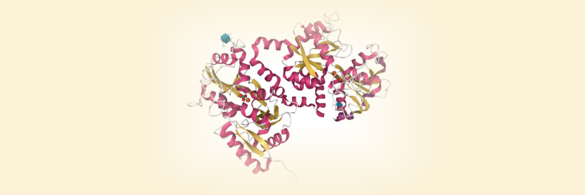 How Does the Molecular Weight of a Protein Affect Its Expression?
