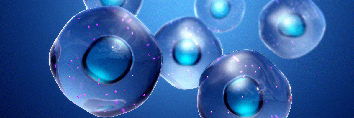 Protein Expression, Protein Purification