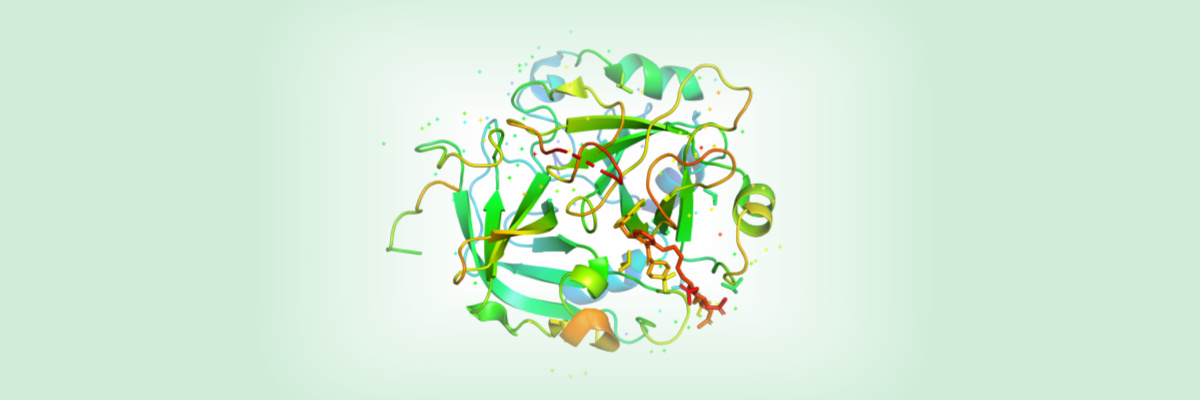 Protein Expression, Protein Purification