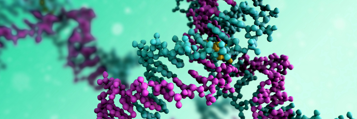 Protein Purification Methods 