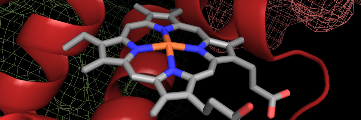Peptide Libraries for Drug Discovery: Unlocking New Therapeutic Targets