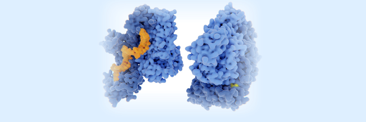 Protein Expression, Protein Purification Protein Expression, Protein Purification