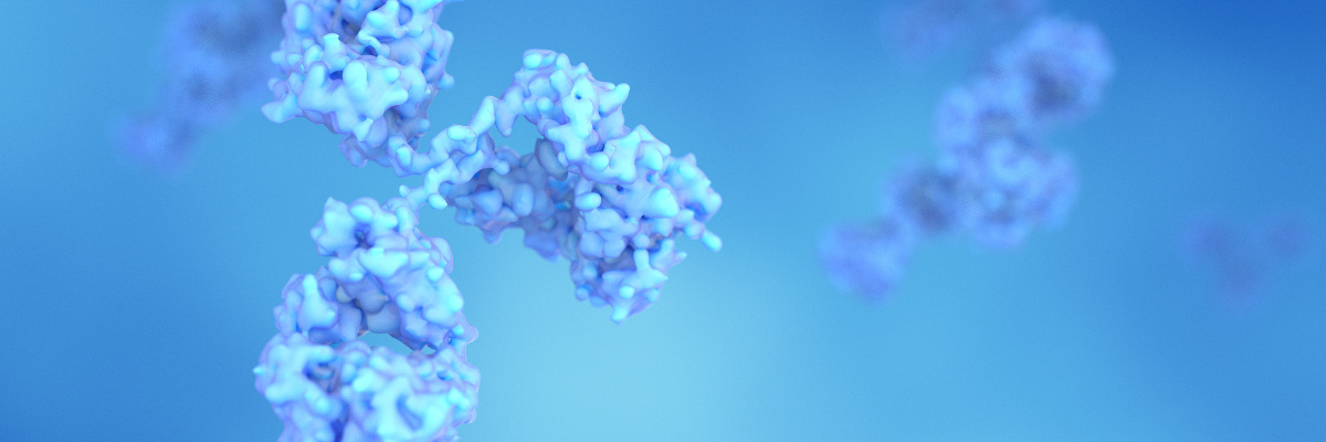 What are the differences in protein purity requirements for different experiments?