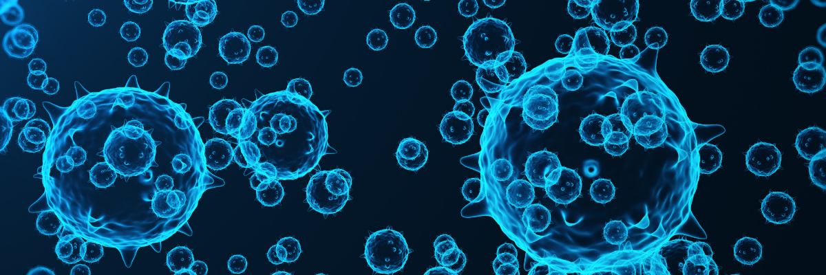 Recombinant Protein, Protein Expression