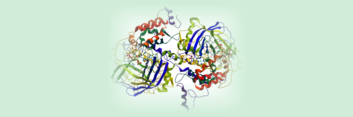 Protein Expression