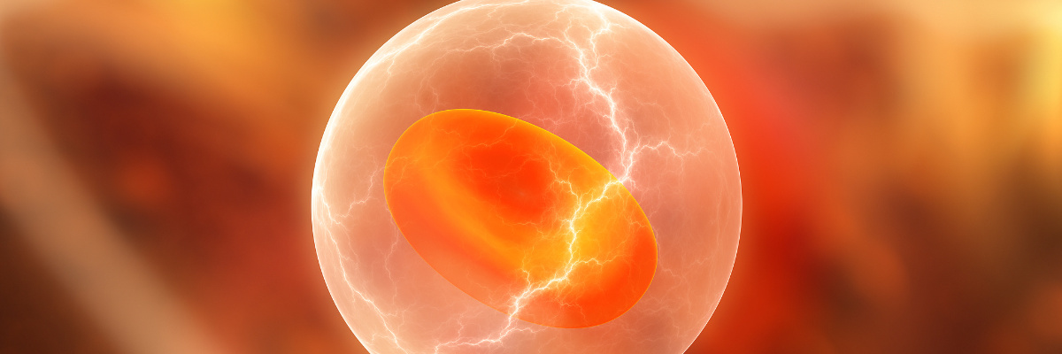 What are the main applications of cell-free protein expression systems?