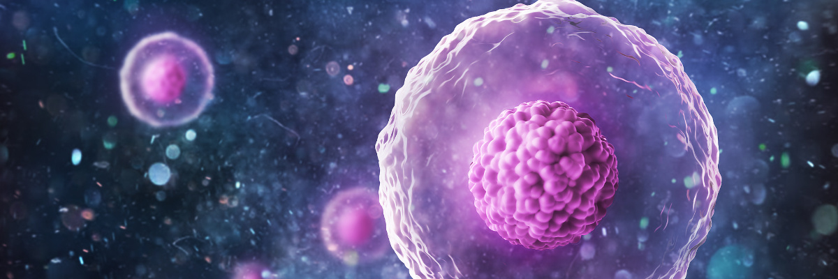 What are the characteristics of the yeast expression system?