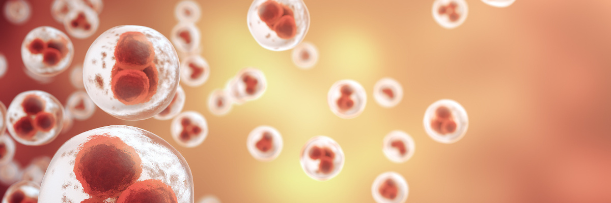 Recombinant Protein, Protein Expression