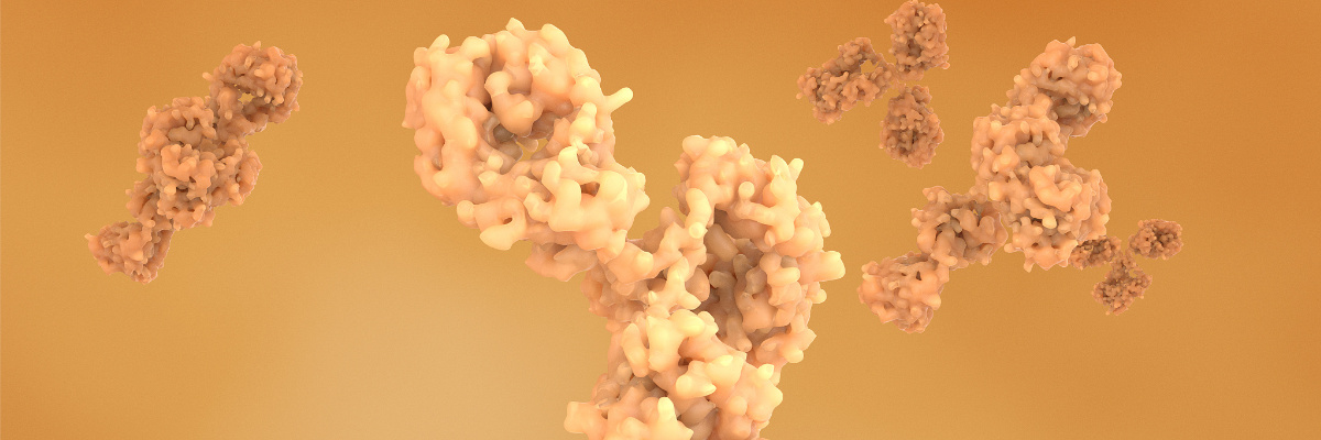 Recombinant Protein, Protein Expression