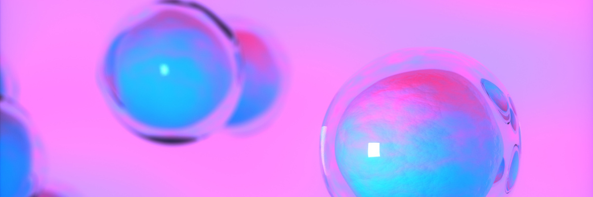 Protein Purification, mammalian cell expression