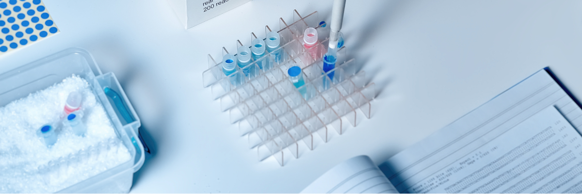 What are the functions of amino modification?