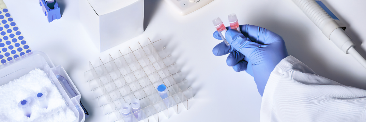 What are the functions of Locked Nucleic Acid (LNA) modification? 