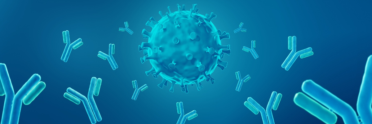 Enhancing Antibody Affinity and Specificity Through VH/VL Engineering