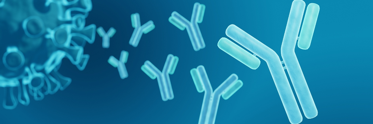 Fc Engineering: Applications and Trends in Antibody Drug Development