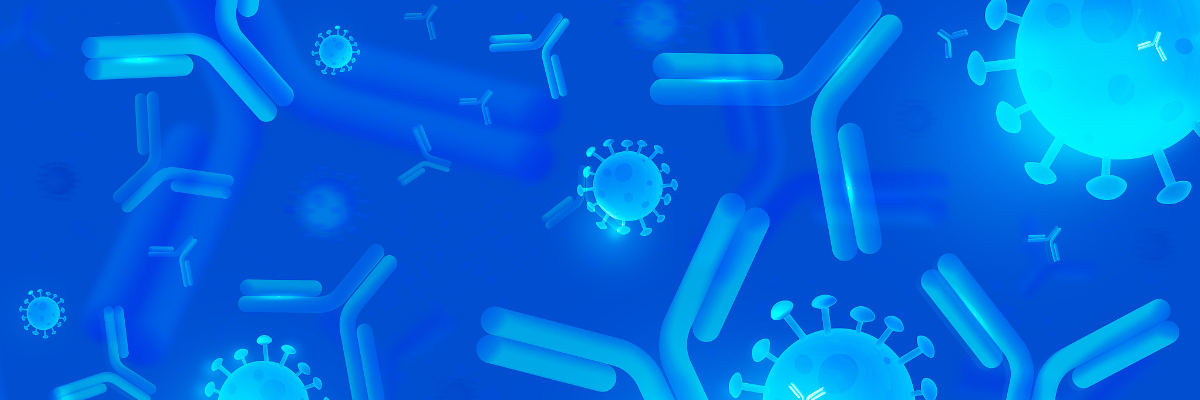 HEK293 vs. CHO: Choosing the Optimal Mammalian System for Recombinant Antibody Expression