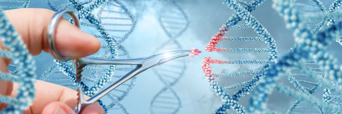 CRISPR HDR, knock-in, genome editing CRISPR HDR, knock-in, genome editing
