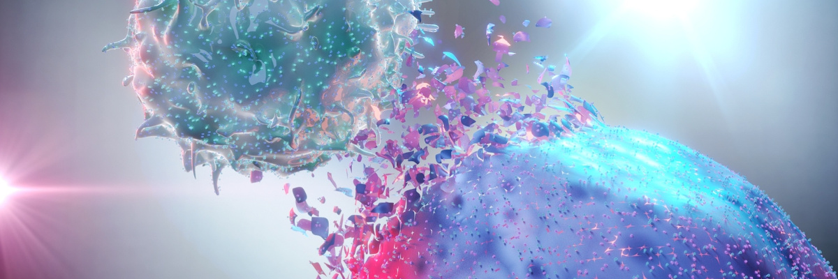  therapeutic antibodies, reduced immunogenicity, 