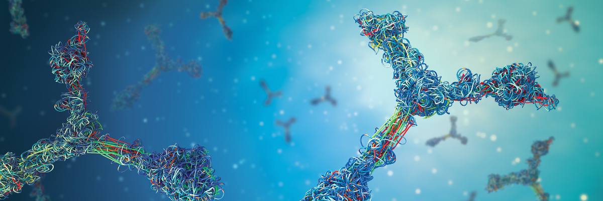 Bispecific Antibodies: Design Strategies and Therapeutic Applications