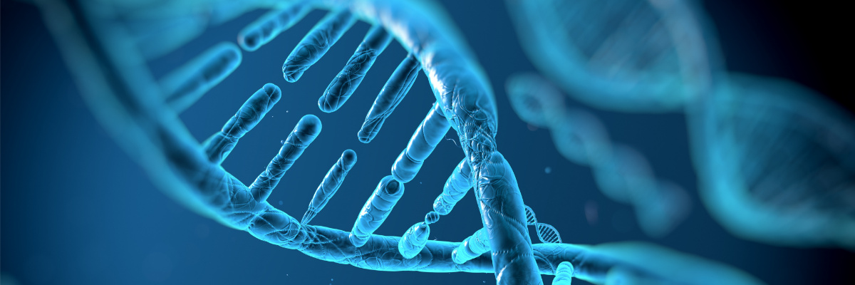 Synthetic Biology and CRISPR: Expanding Genetic Circuit Design with sgRNA and ssDNA
