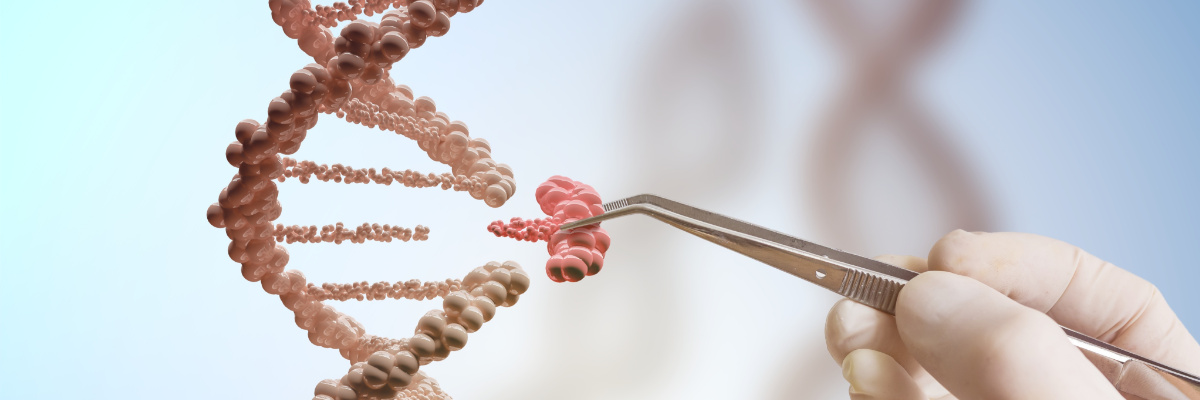 genome editing, computational tools