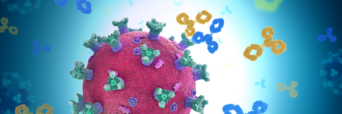 COVID-19 research, infectious disease antibodies COVID-19 research, infectious disease antibodies