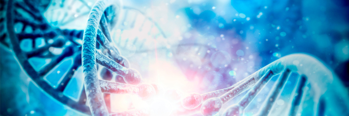 ssDNA vs dsDNA Donors: Choosing the Right Template for Your CRISPR Experiment