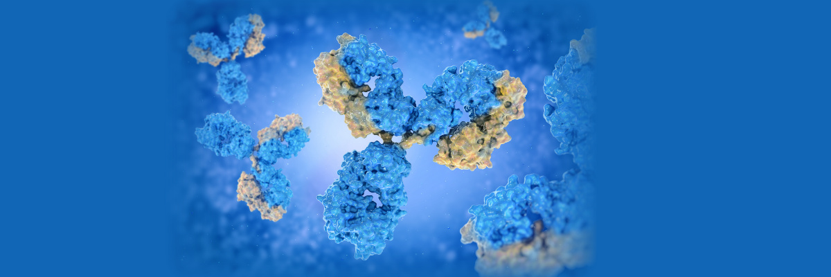 gene synthesis, HEK293 expression, gene synthesis, HEK293 expression,