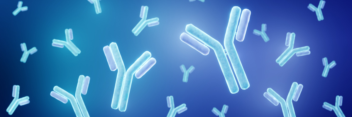 Recombinant Antibodies vs. Hybridoma Antibodies